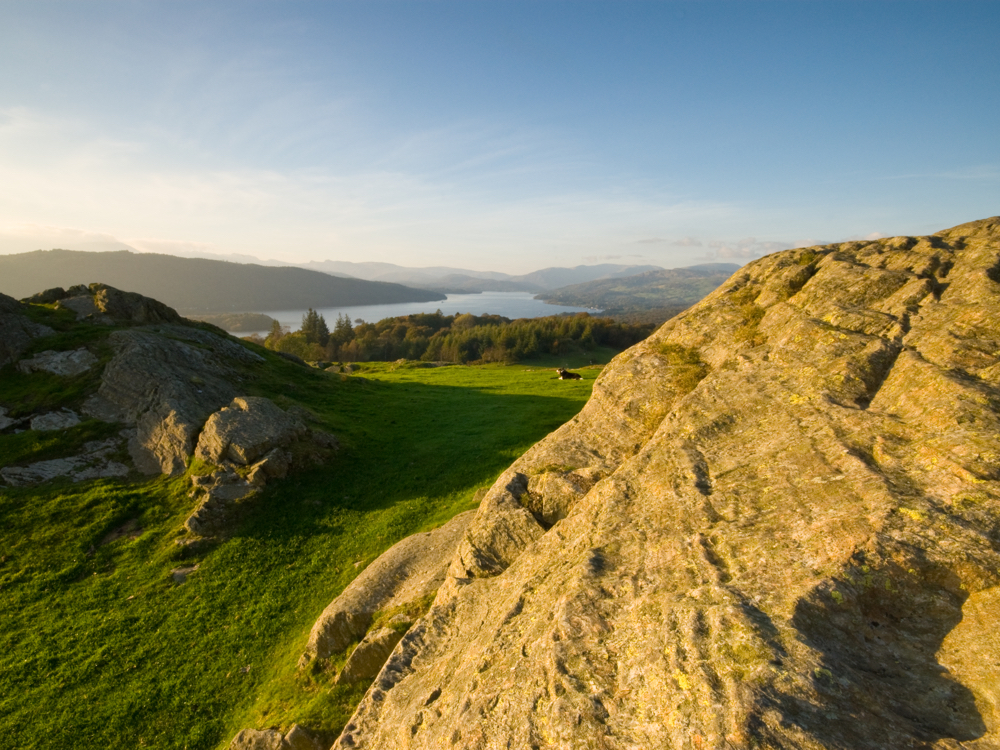 AIL%20Photo%201000x750